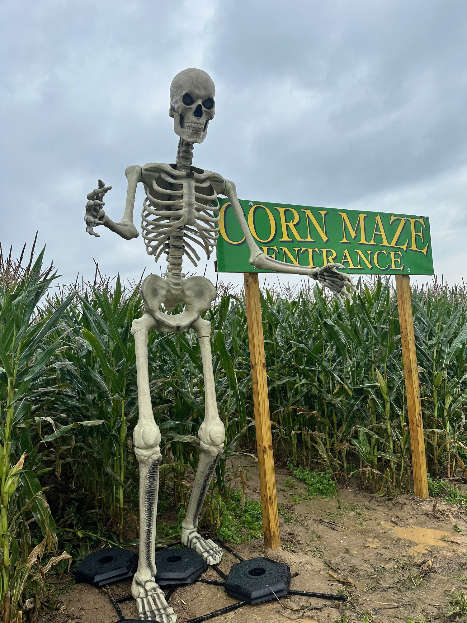 Halloween, pumpkins and corn mazes are fall traditions at the Lenny Bruno Farm. Courtesy photo