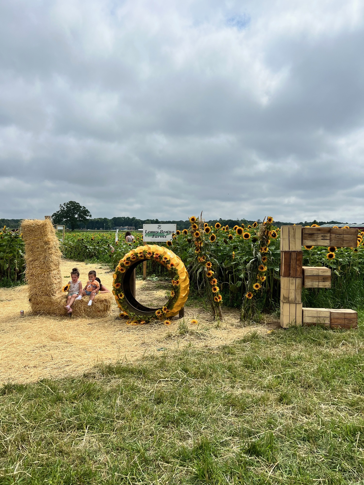 Summer festivals include a Sunflower Festival. Courtesy photo