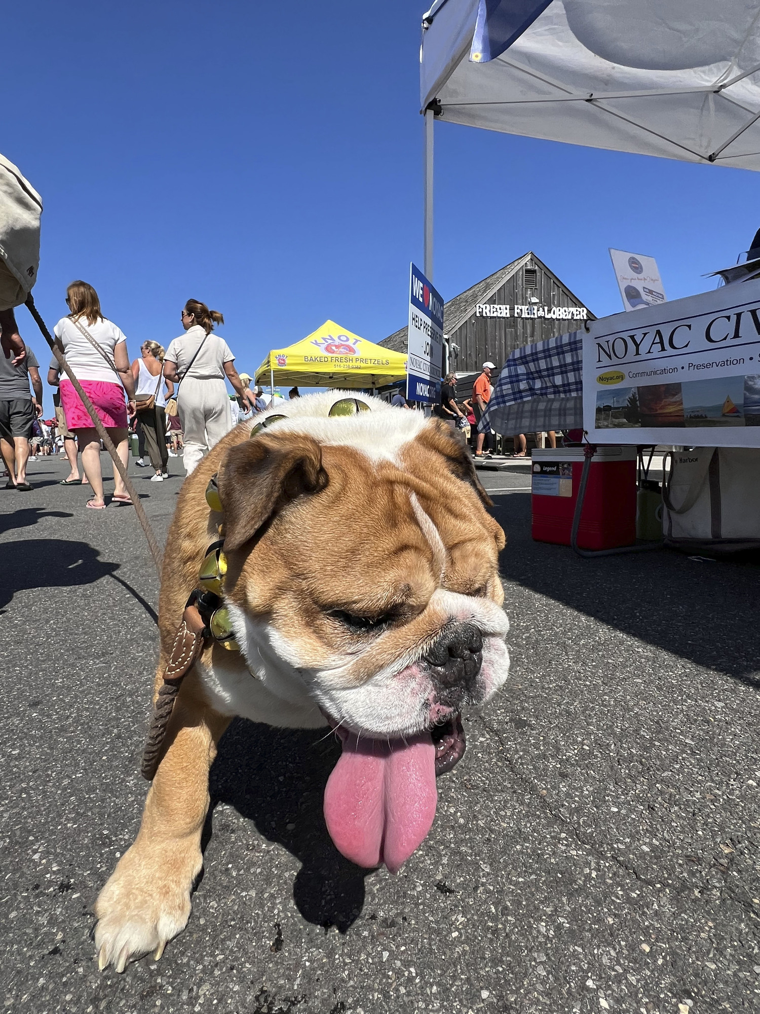 Scenes from HarborFest on Sunday.  DANA SHAW