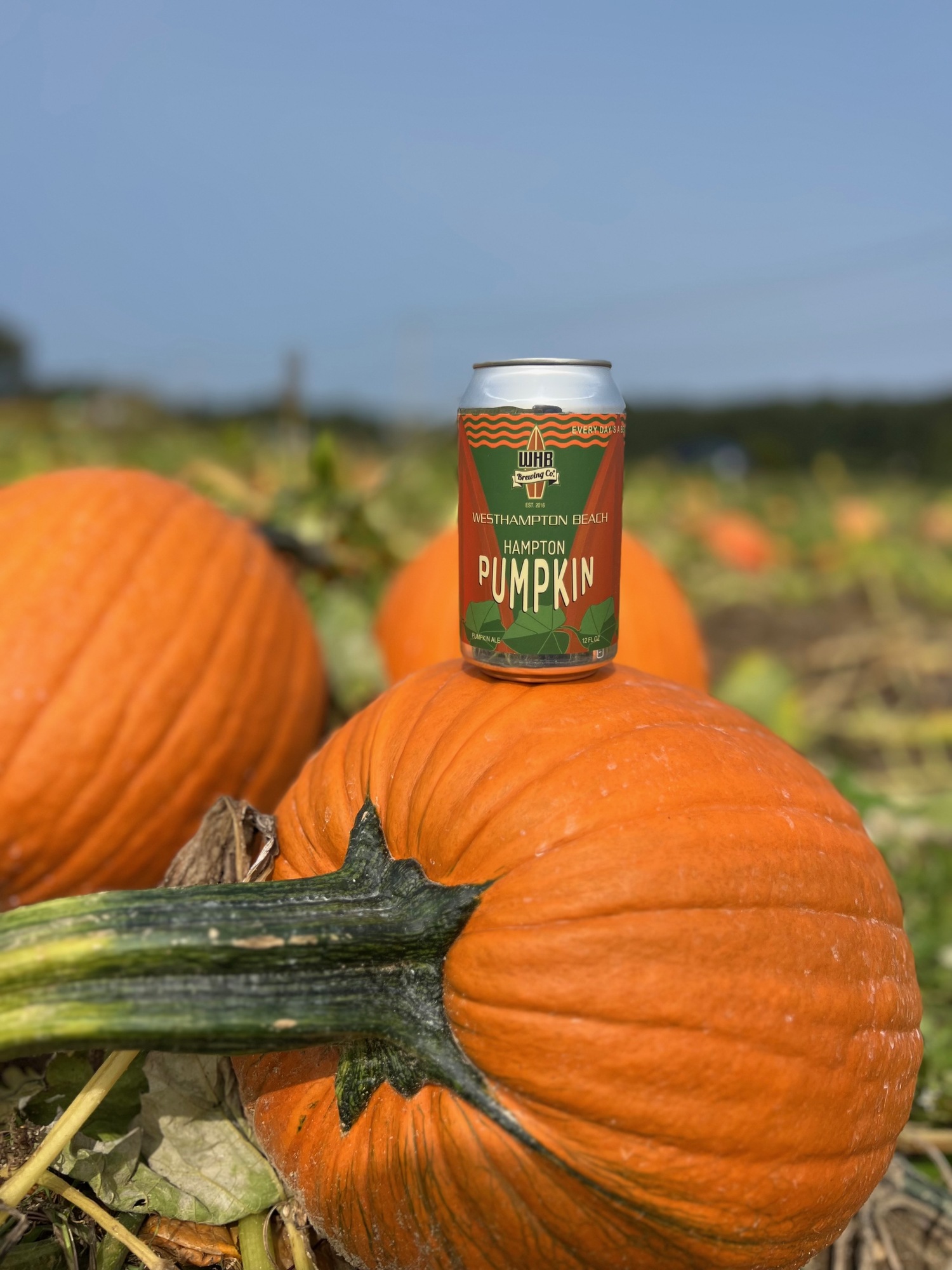 Westhampton Beach Brewery crafts a special ale for the farm each fall. Courtesy photo