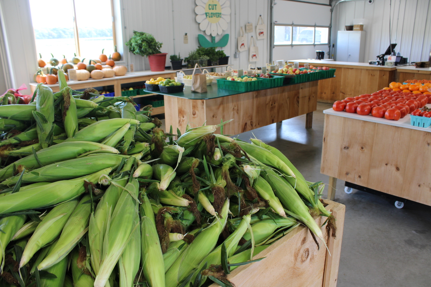 At the Green Thumb in Water Mill, the first of the season's apples sharing space with the last of the summer corn. ROBYN DIEDRIKS