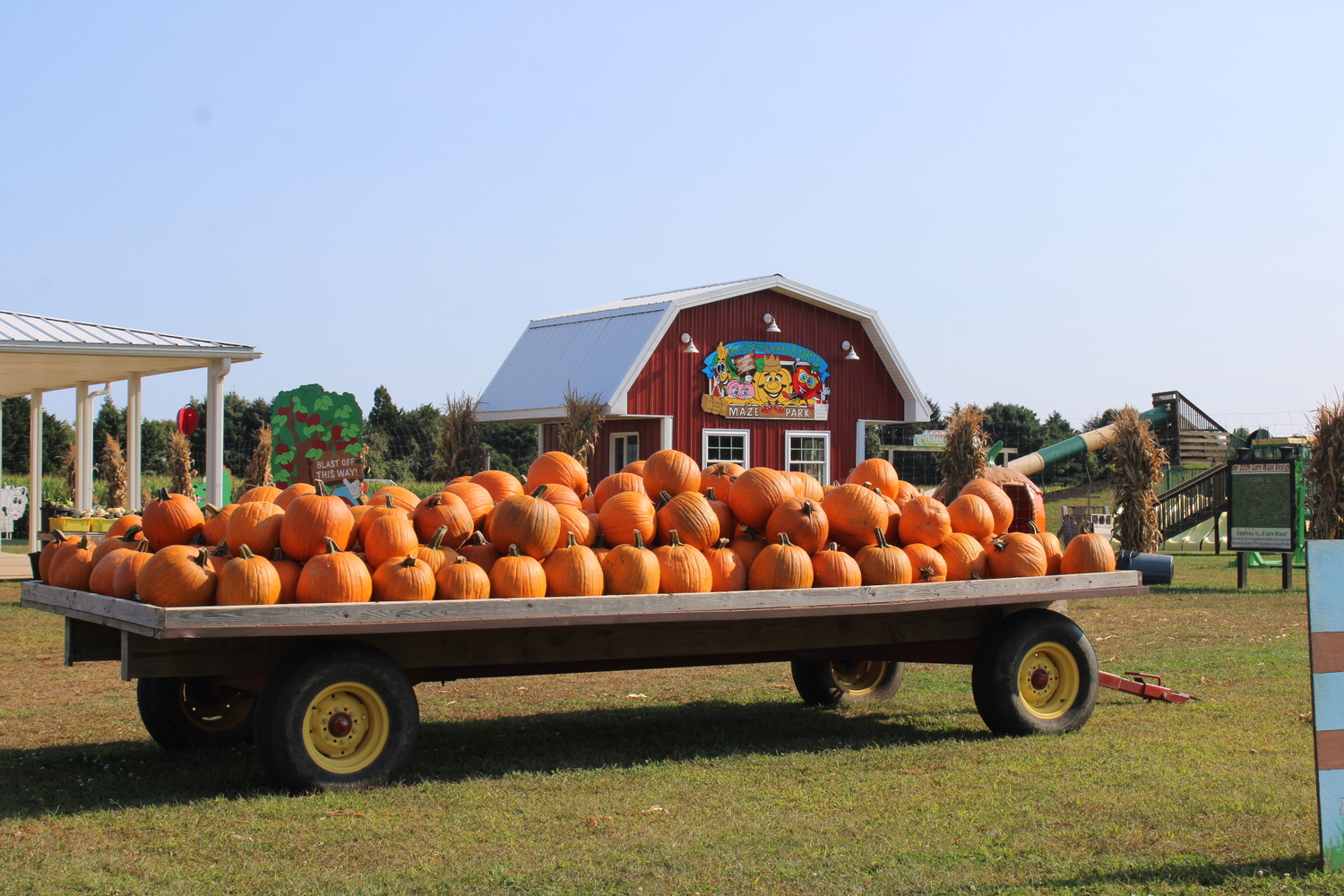 Hank's Pumpkin Town is gearing up for the busiest time of year with a variety of pick-your-own pumpkins and other family fun activities. ROBYN DIEDRIKS