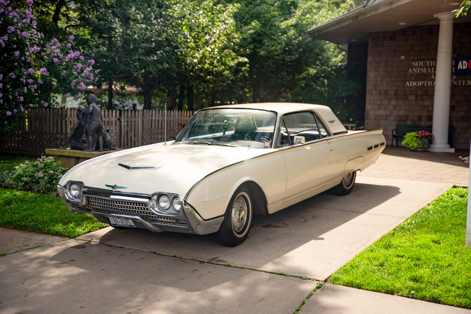 A donated 1962 Ford Thunderbird was auctioned off to raise funds for the Southampton Animal Shelter Foundation last month. COURTESY SASF