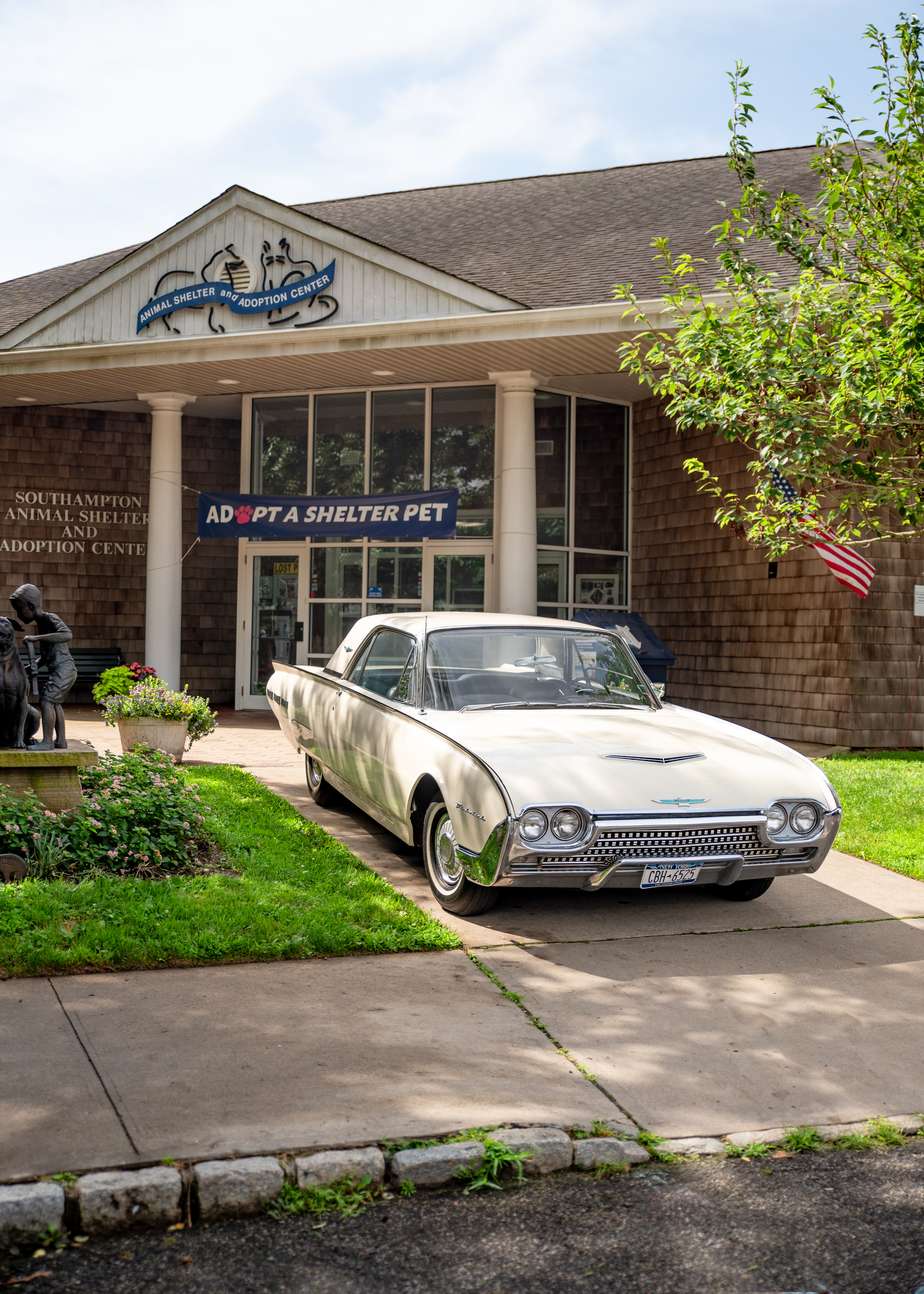 A donated 1962 Ford Thunderbird was auctioned off to raise funds for the Southampton Animal Shelter Foundation last month. COURTESY SASF