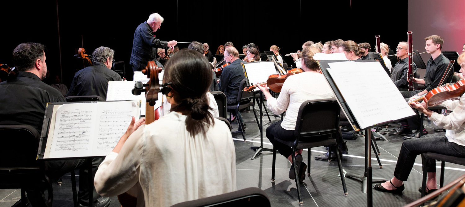 Maestro Michael Palmer conducts members of the American Sinfonietta during a TH·FM concert at LTV in September 2023. PHIL MERRITT