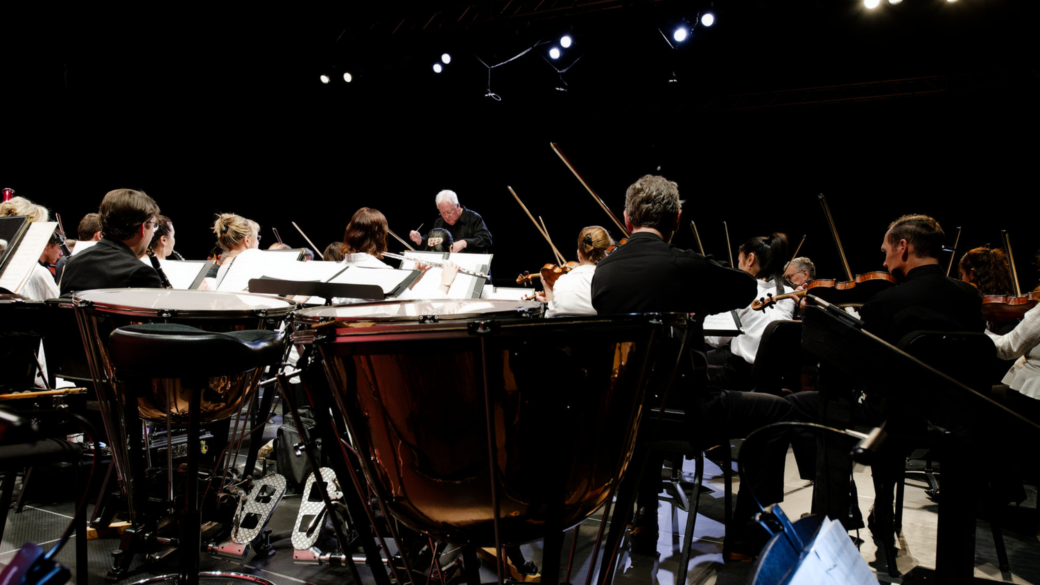 Maestro Michael Palmer conducts members of the American Sinfonietta during a TH·FM concert at LTV in September 2023. PHIL MERRITT