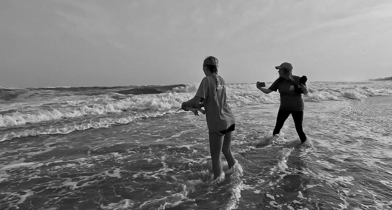 A scene from “Shorebreak,” a student film directed by Thea Belle Flanzer. COURTESY OFFSHORE ART & FILM FESTIVAL