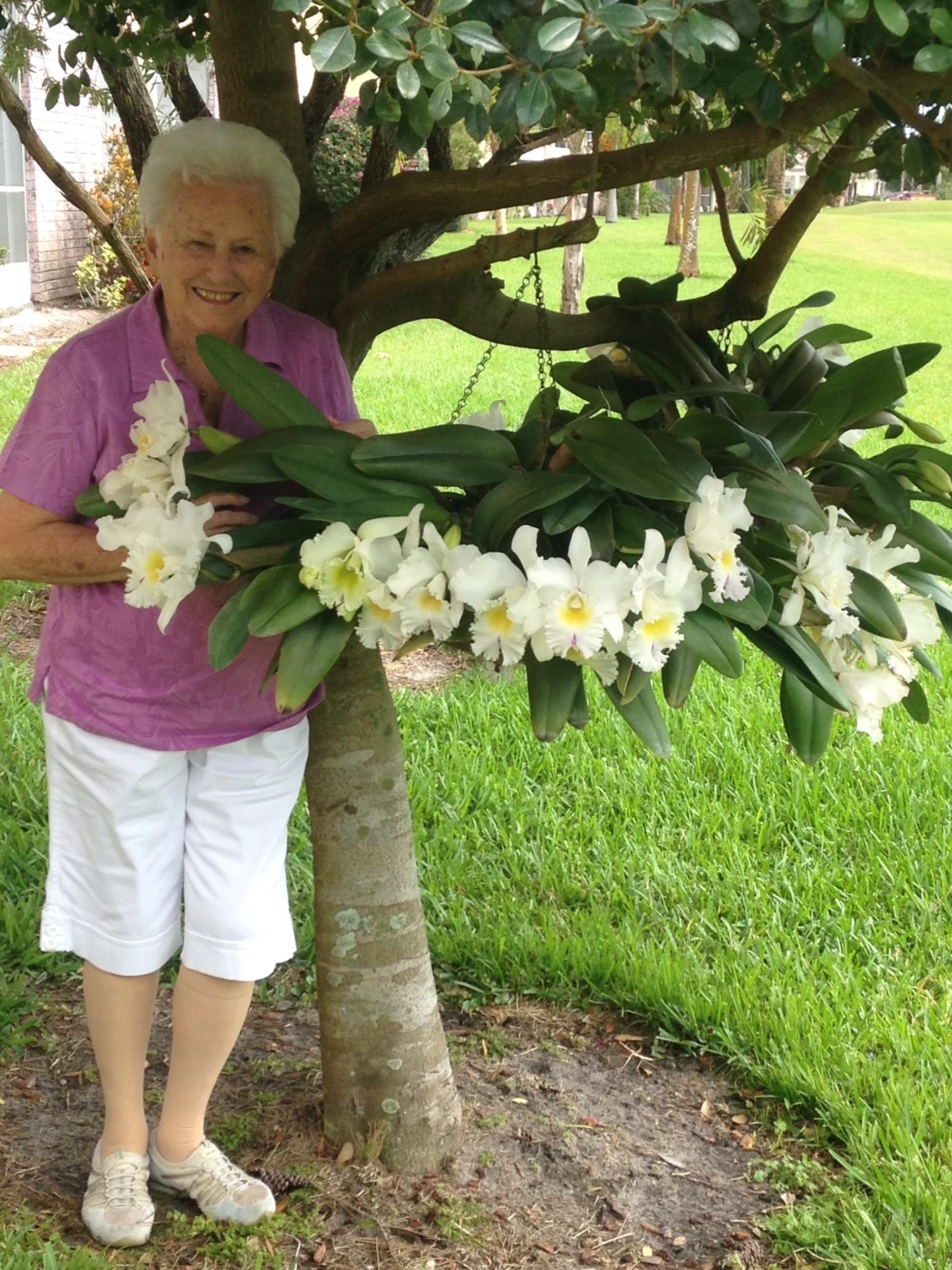 Sylvia Catena Smith turns 100 on September 11. COURTESY SHARON MCGANN