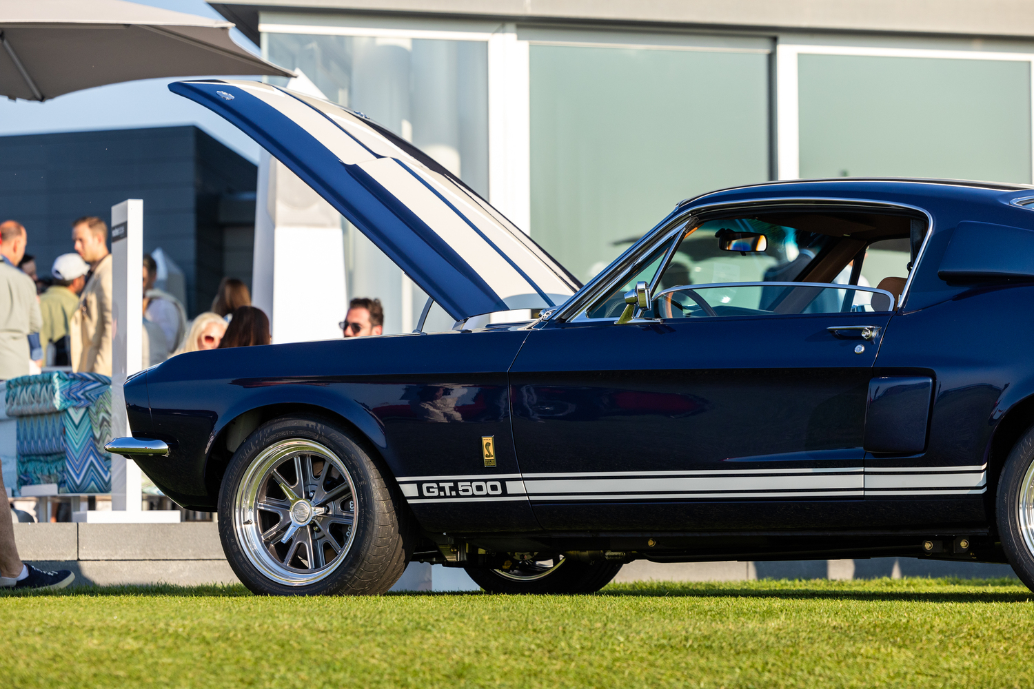 A 1967 Shelby G.T. 500.   RON ESPOSITO