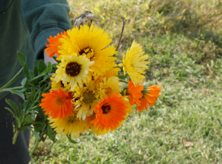 Autumn-Themed Floral Design Workshop