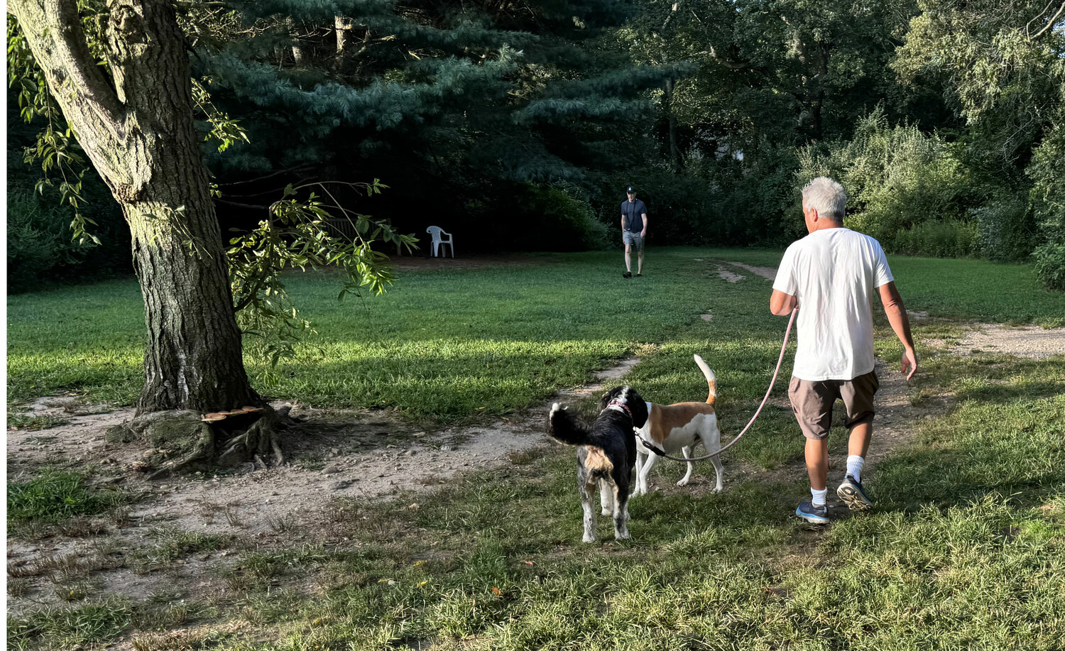 Proposed changes for dogs at the 42-acre Springs Park have tempers flaring. T.E. McMORROW