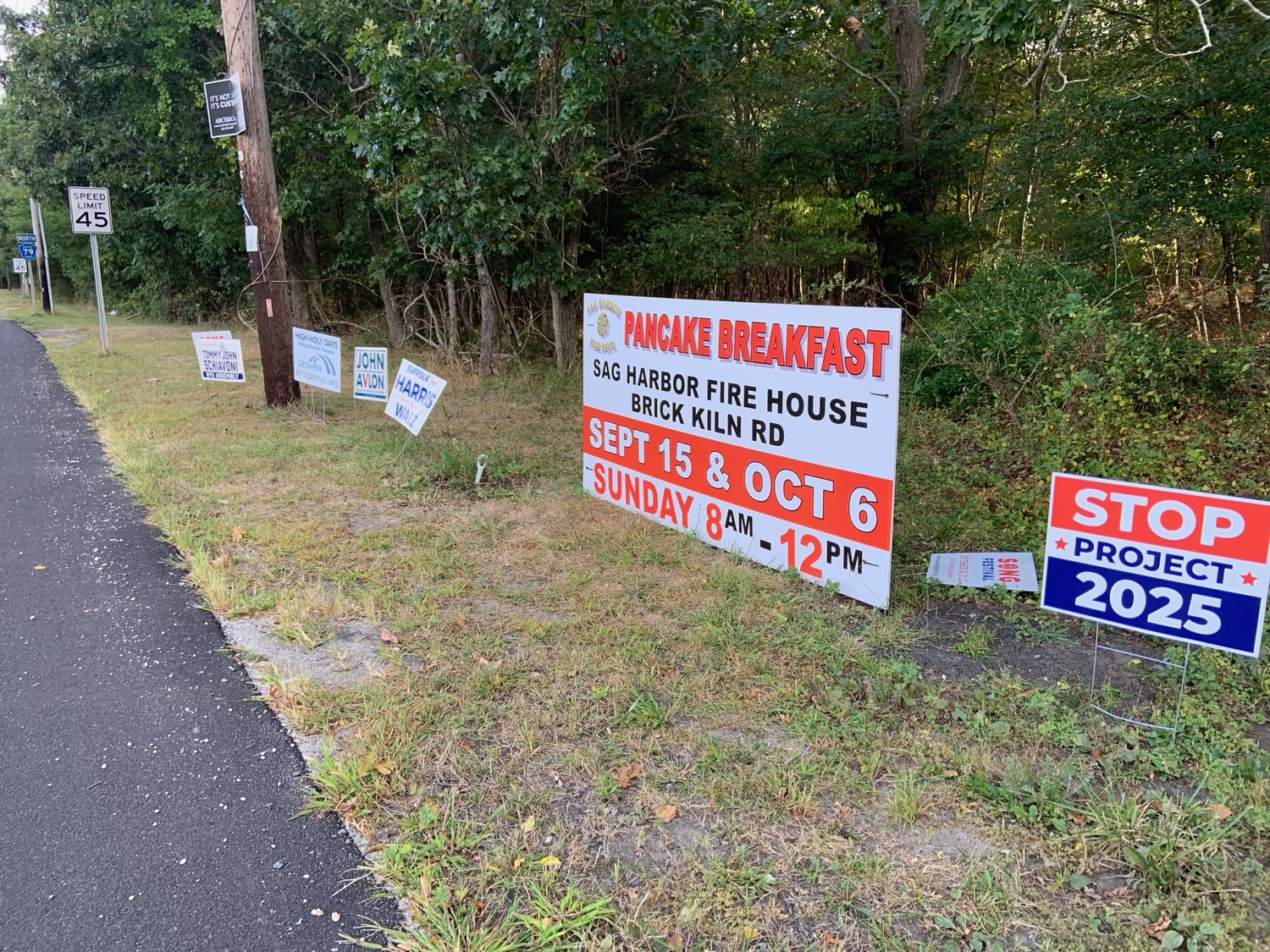 Political campaign signs will be removed from Southampton Town roadsides and publicly owned property after the Town Board agreed that current town code does not exempt them, as has been widely assumed. STEPHEN J. KOTZ