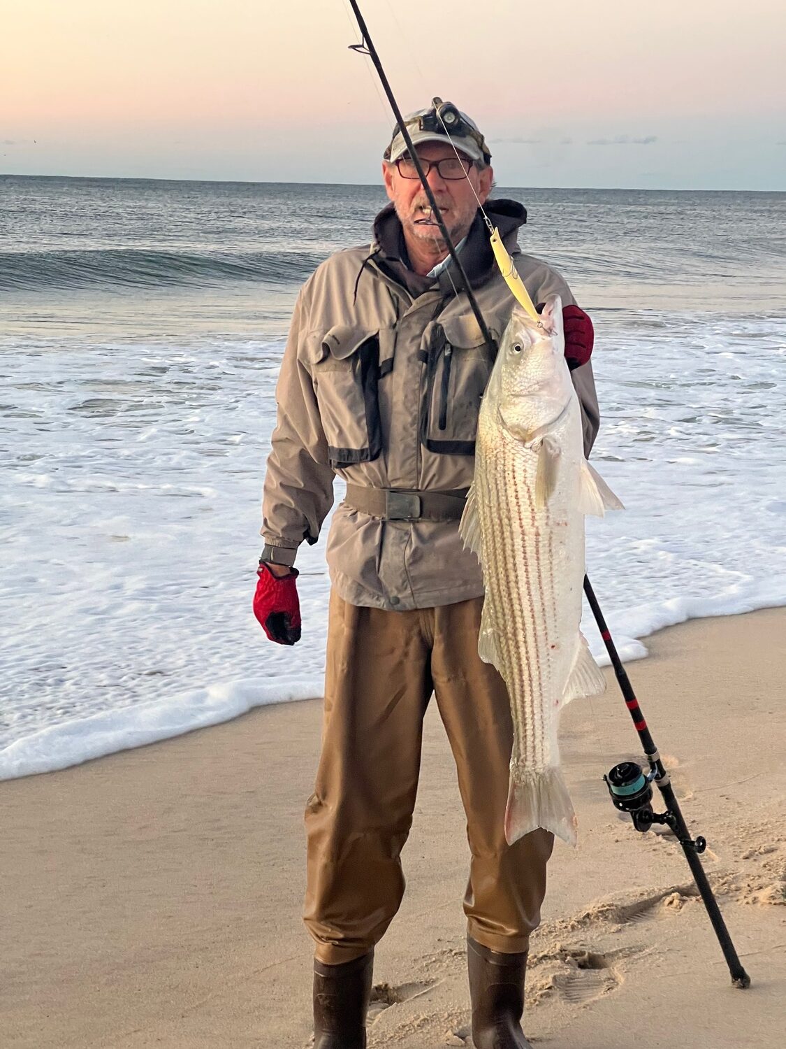 Greg Flanagan of Montauk got in on the good striped bass bite off the sand beaches in Amagansett last week. ADAM FLAX