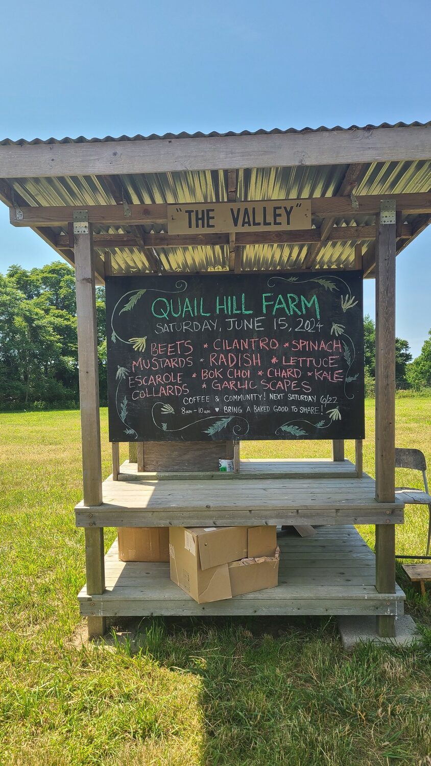 Quail Hill Farm in Amagansett is one of the original CSA farms in the country, and is a stewardship project of the Peconic Land Trust. COURTESY PECONIC LAND TRUST