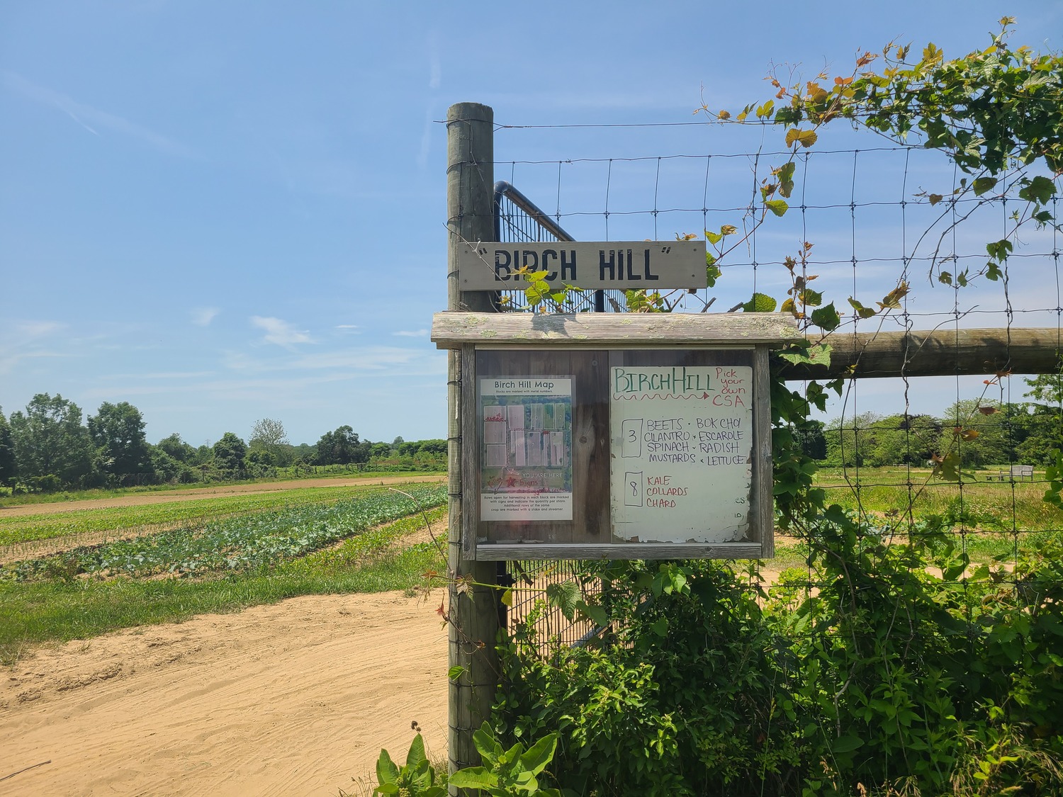 Quail Hill Farm in Amagansett is one of the original CSA farms in the country, and is a stewardship project of the Peconic Land Trust. COURTESY PECONIC LAND TRUST