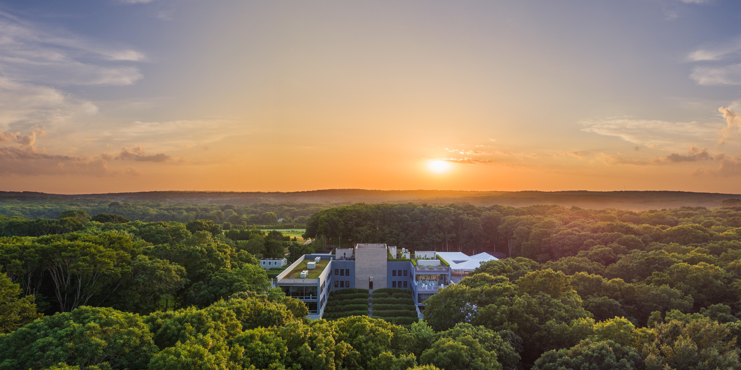 Aerial view of The Watermill Center. LOVIS OSTENRIK DENGLER