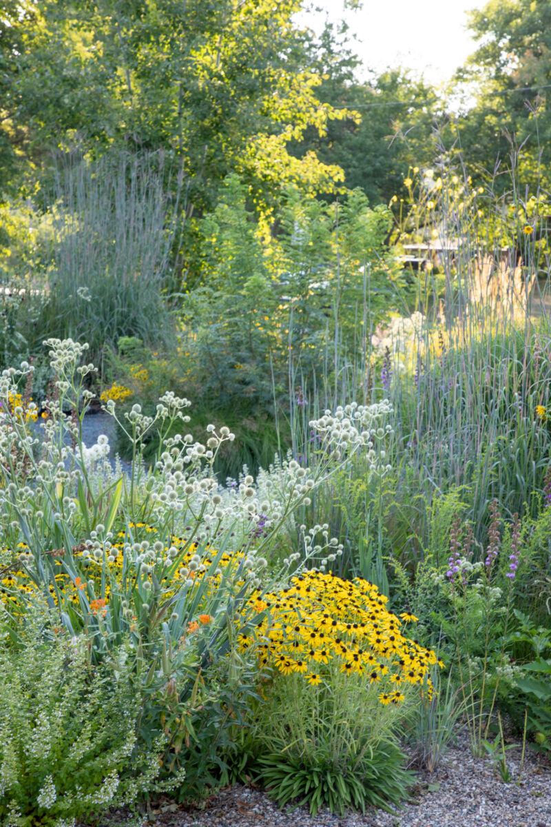 A gravel garden in Ames, Iowa. COURTESY JEFF EPPING