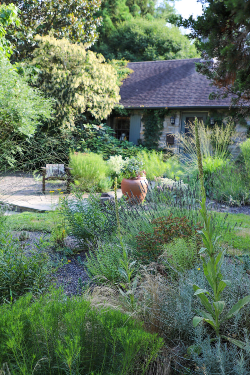 The Bunting gravel garden in the Philadelphia area. COURTESY JEFF EPPING