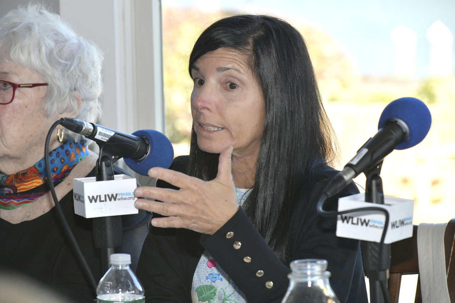 Panelist Gayle Lombardi, Director, Hampton Bays Civic Association.  DANA SHAW