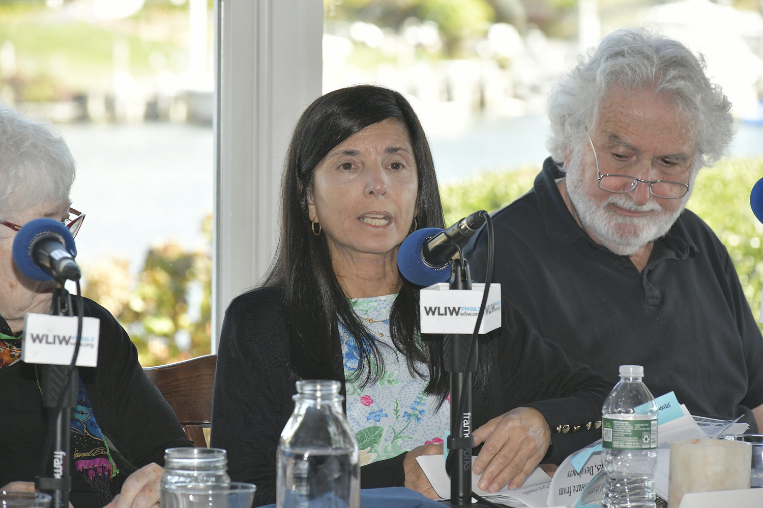 Panelist Gayle Lombardi, Director, Hampton Bays Civic Association.  DANA SHAW