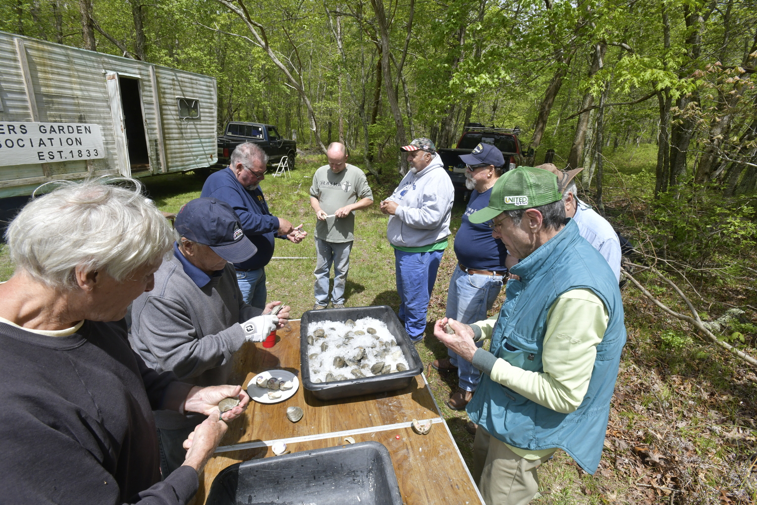 A half-dozen men surround a table on which hundreds of hardshell clams sit on ice, the men slicing them open and offering clams on the half-shell to any and all takers.  DANA SHAW