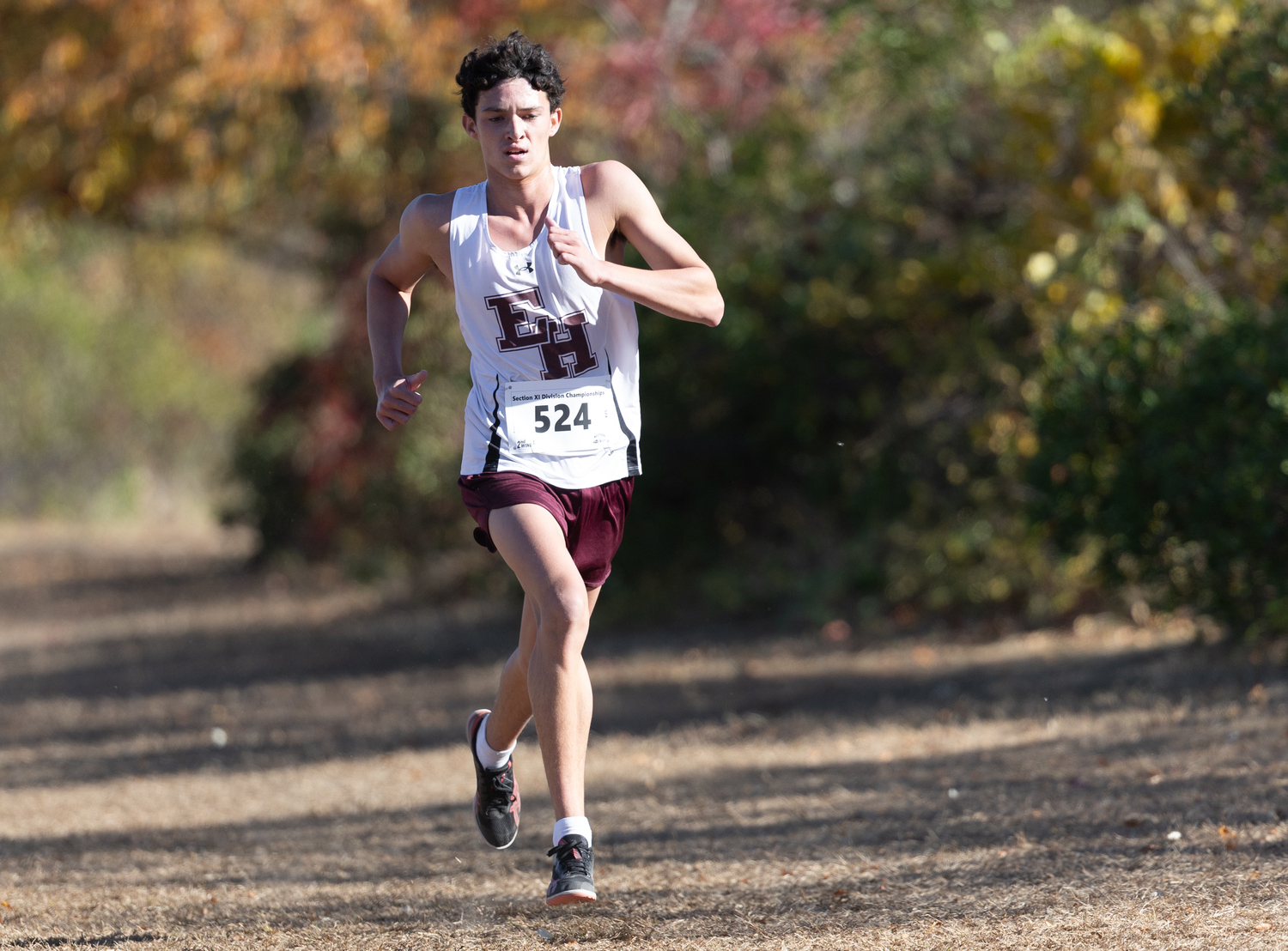 East Hampton junior Liam Knight led the boys at divisions on Friday.   RON ESPOSITO