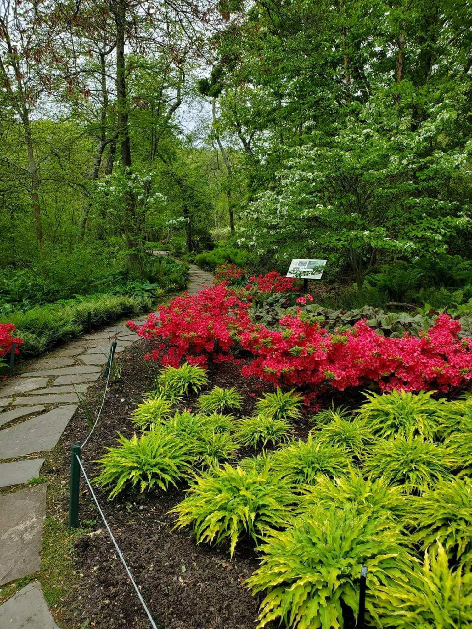 Bayard Cutting Arboretum in Great River. LAURIE SCHLAGETER