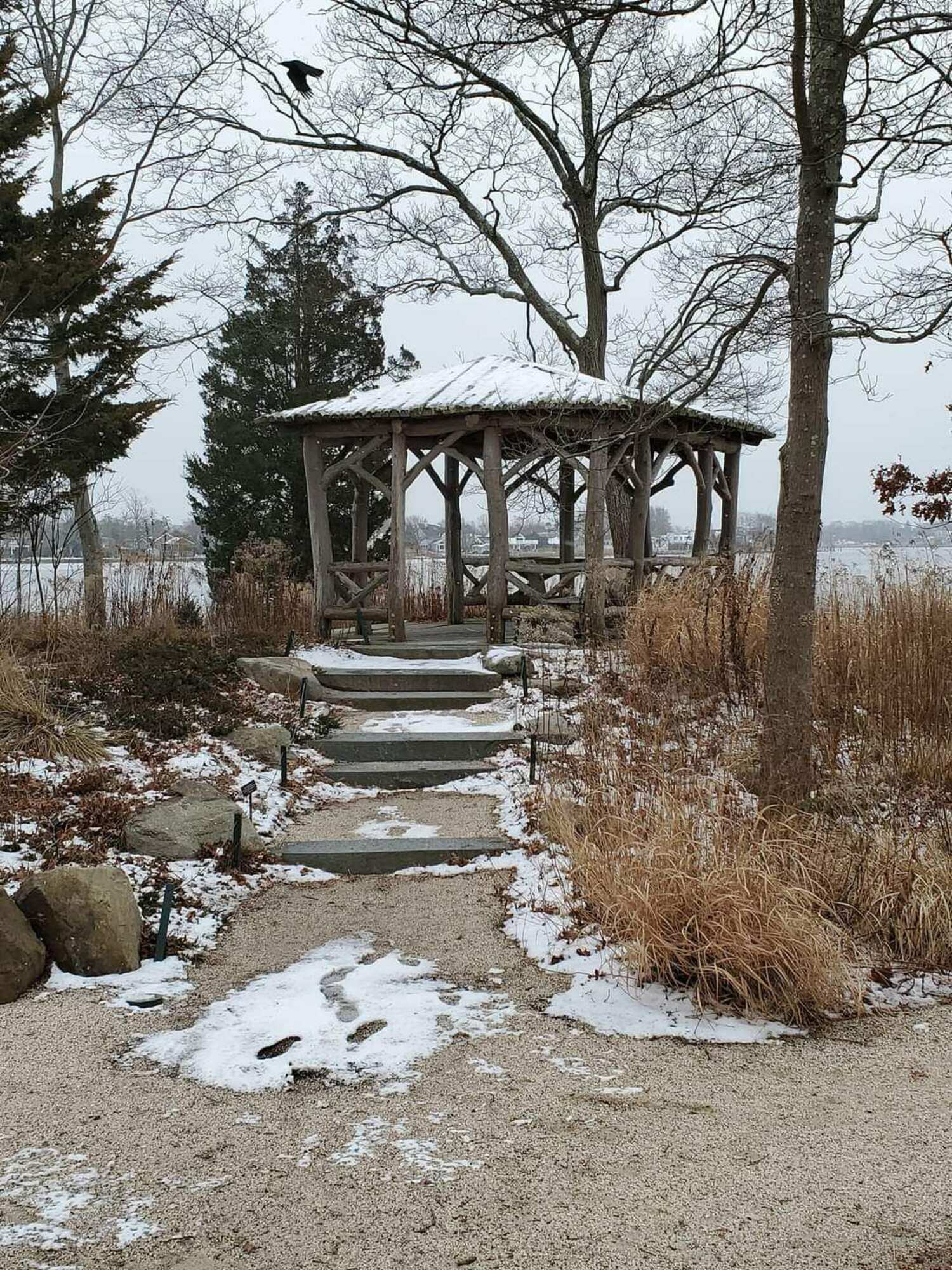 Bayard Cutting Arboretum in Great River. LAURIE SCHLAGETER