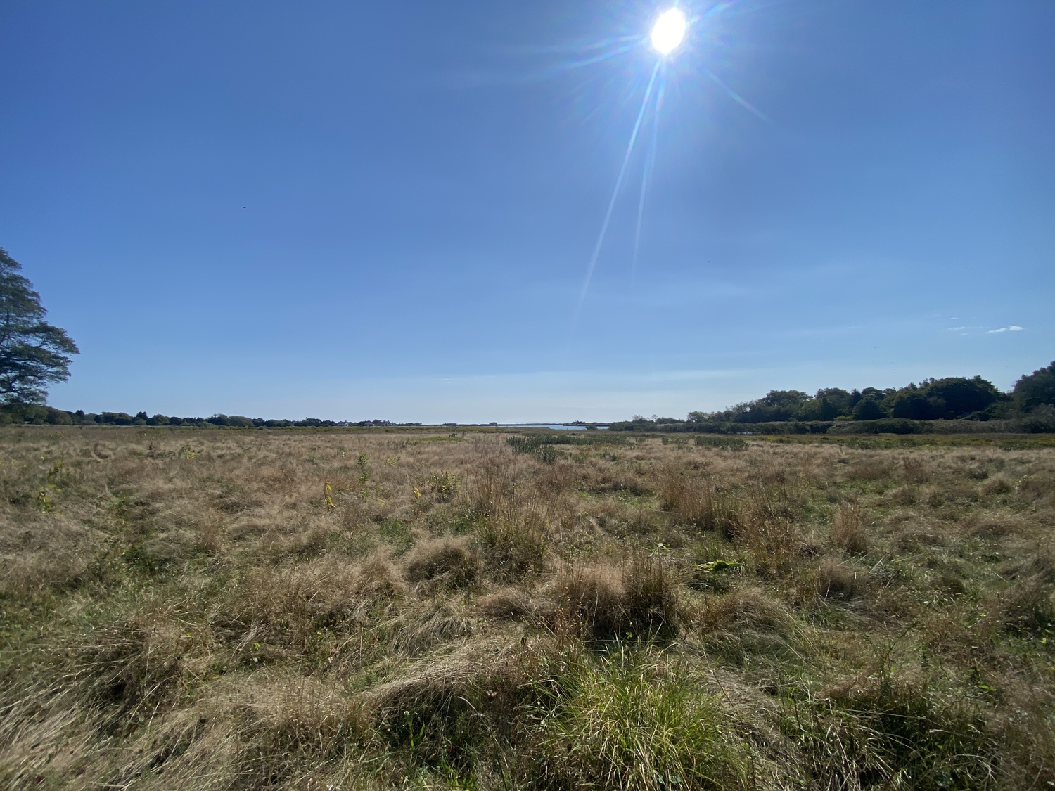 Across the street from the Wainscott Chapel, where the hamlet's citizens advisory committee meets, is a 30-acre parcel that East Hampton Town plans to purchase in part for water quality protection and improvement, and, farther south, the severely degraded Wainscott Pond. CHRISTOPHER WALSH