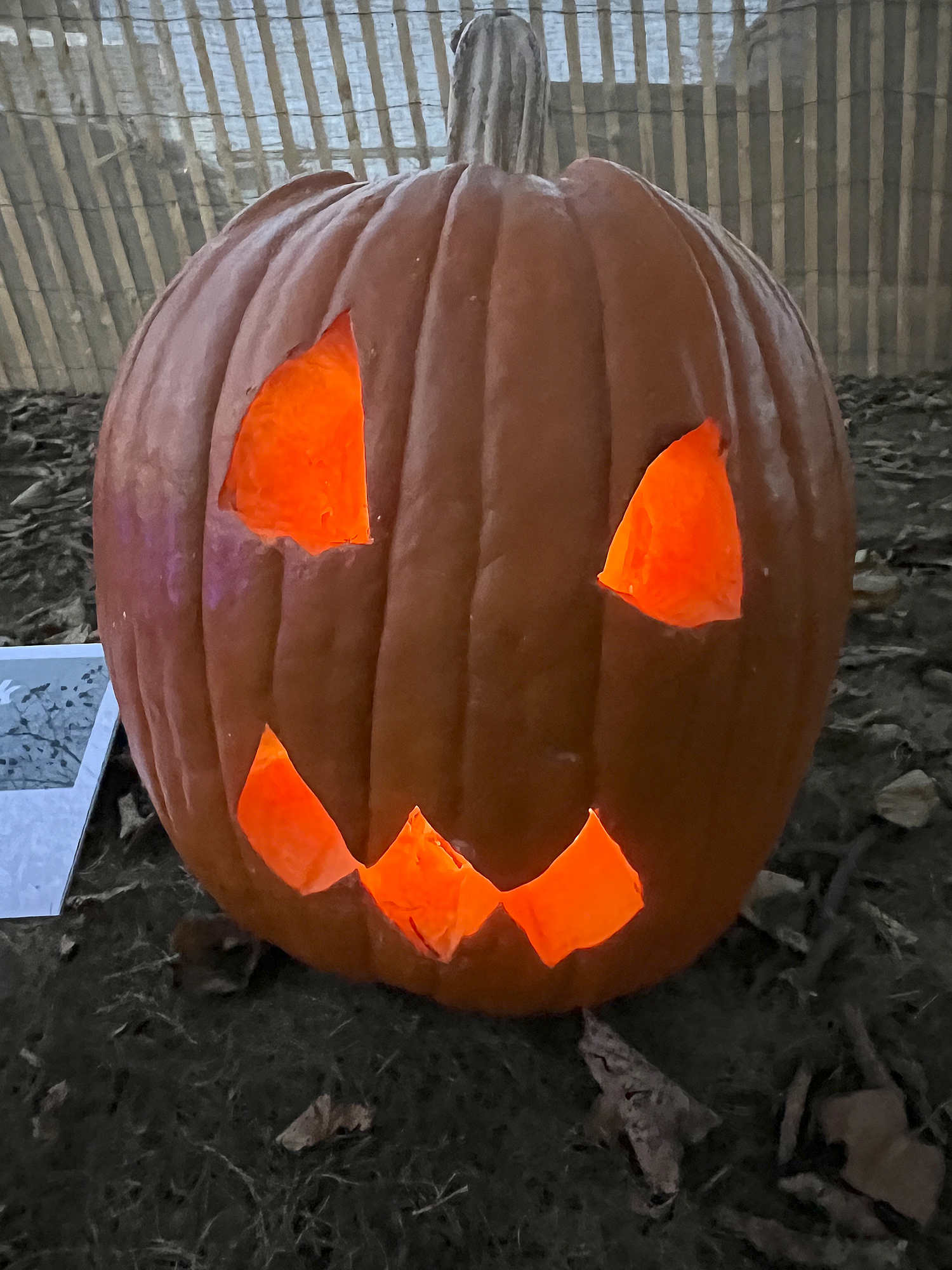 Carvings at the Bridgehampton Lions Club contest on Monday evening.