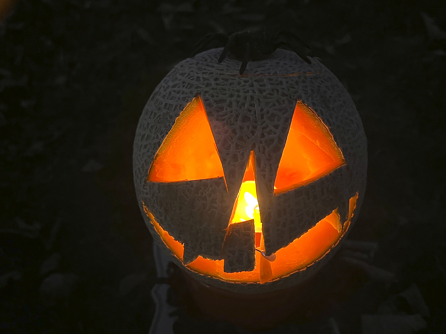 Carvings at the Bridgehampton Lions Club contest on Monday evening.