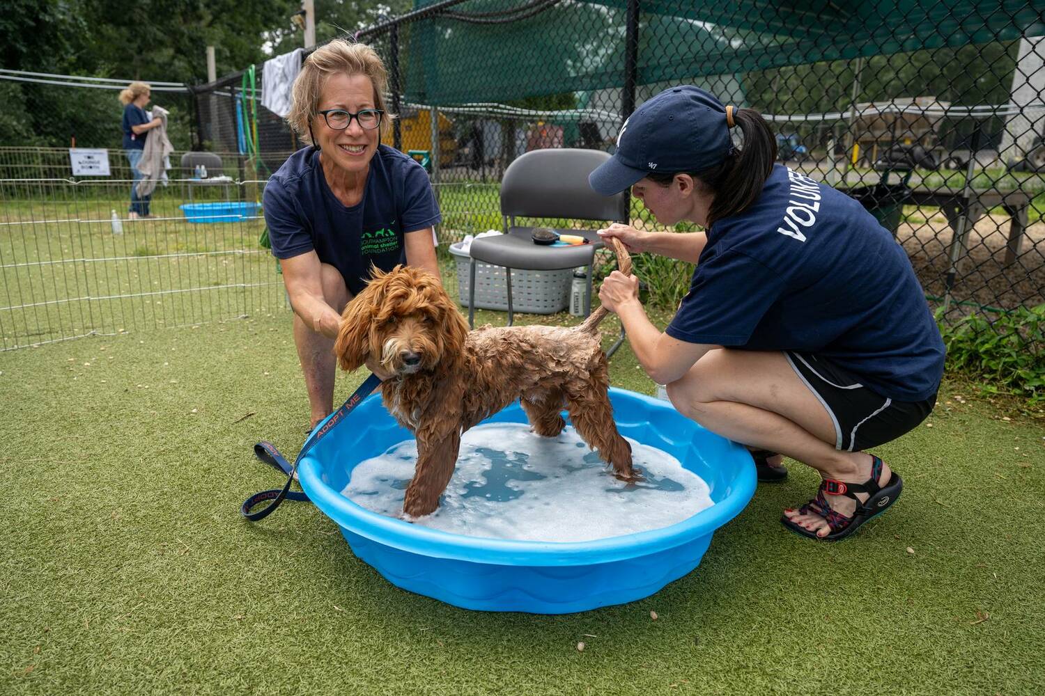 Carol Spettell, left, and another volunteer give a dog a bath. COURTESY SASF