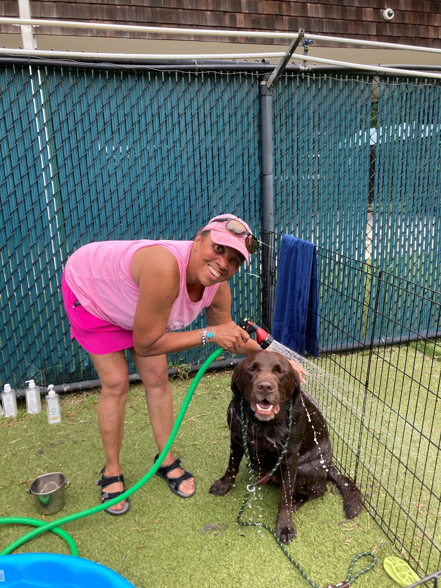 Linda Brown's fellow volunteers call her the dog whisperer for her seemingly innate ability to relate to dogs at the shelter. COURTESY SASF