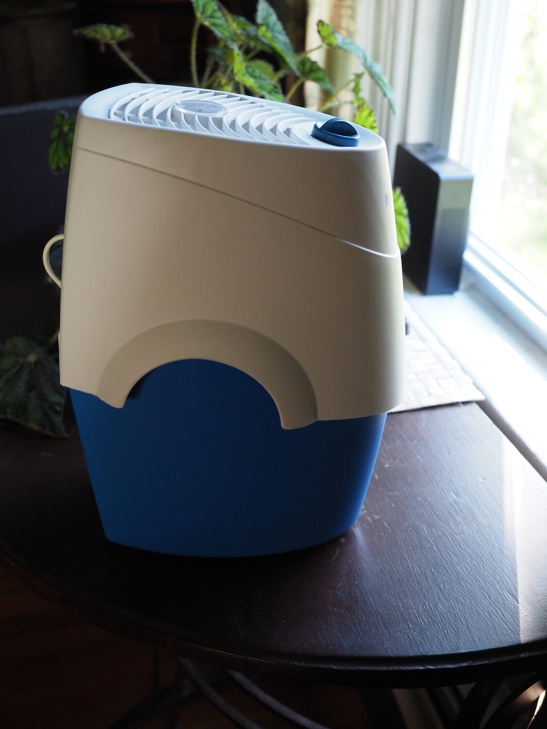 This 13-inch wick-type humidifier creates no white dust and uses very little electricity. Often sold as baby room humidifiers they are quiet and efficient at adding humidity in the area of your houseplants -- as long as you remember to fill it. Some have several fan settings, and you can find them for under $40. ANDREW MESSINGER