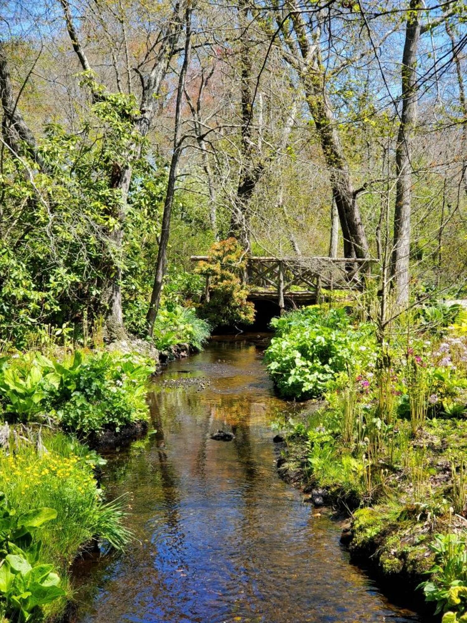 Bayard Cutting Arboretum in Great River. LAURIE SCHLAGETER