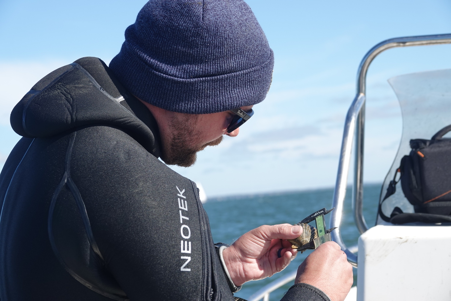 Cornell Cooperative Extension Aquaculture Specialist Harrison Tobi measuring the growth of scallops raised in protective cages in Flanders Bay as part of the CCE Marine Program's efforts to study survivability of different bay scallop lineages in the Peconics, where a parasite and warming waters have caused massive die-offs in recent years. MICHAEL WRIGHT