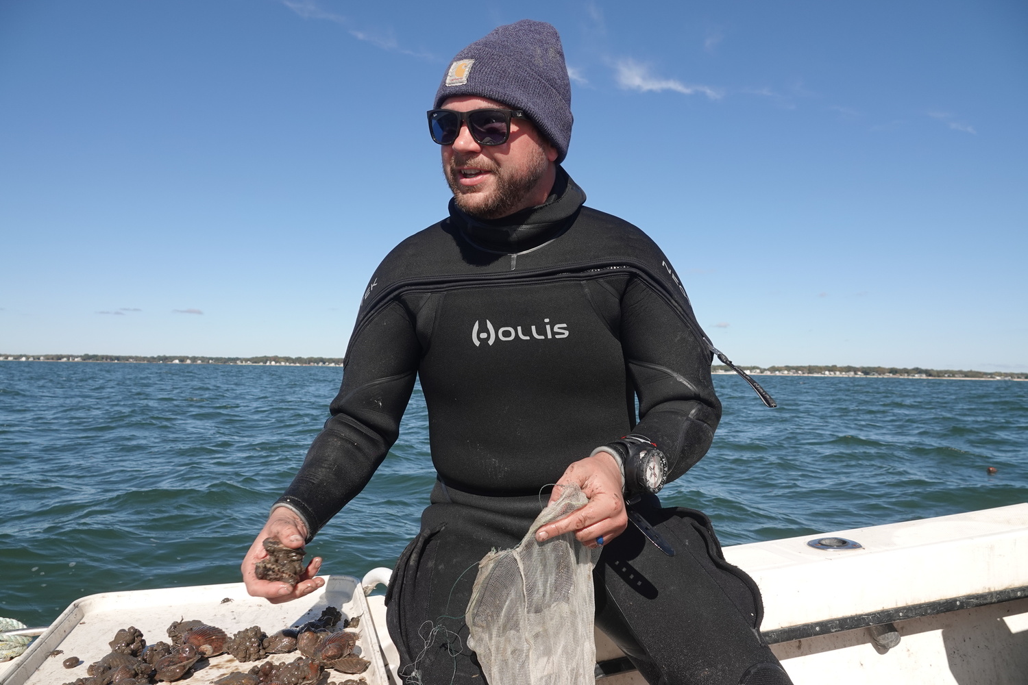 Cornell Cooperative Extension Aquaculture Specialist Harrison Tobi with scallops raised in protective cages in Flanders Bay as part of the CCE Marine Program's efforts to study survivability of different bay scallop lineages in the Peconics, where a parasite and warming waters have caused massive die-offs in recent years. MICHAEL WRIGHT