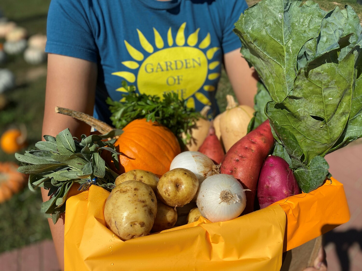 Garden of Eve in Riverhead is one of several farms in the area offering a winter CSA program. COURTESY GARDEN OF EVE