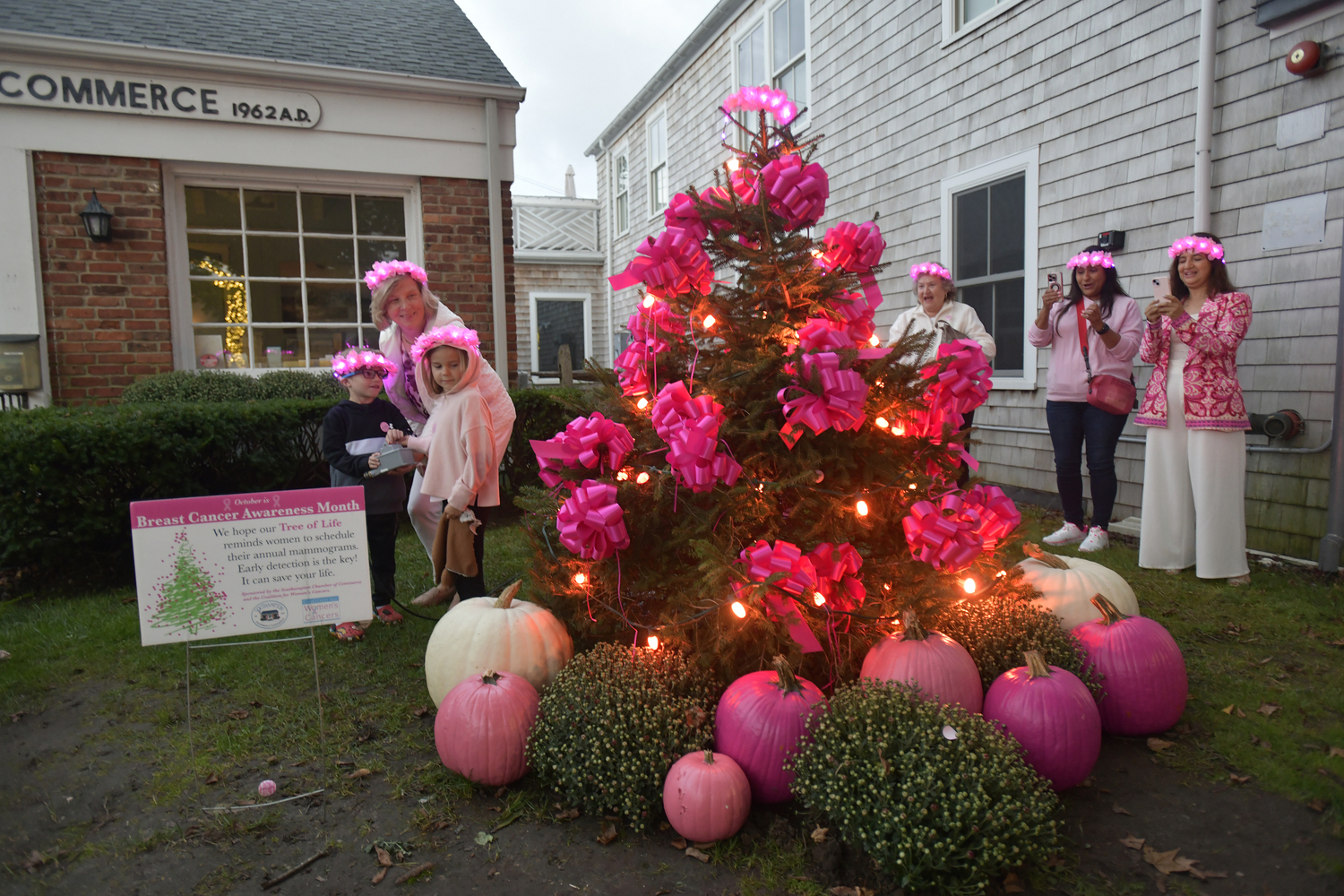 The pink tree was lighted at the Southampton Chamber of Commerce on October 1, marking the beginning of 