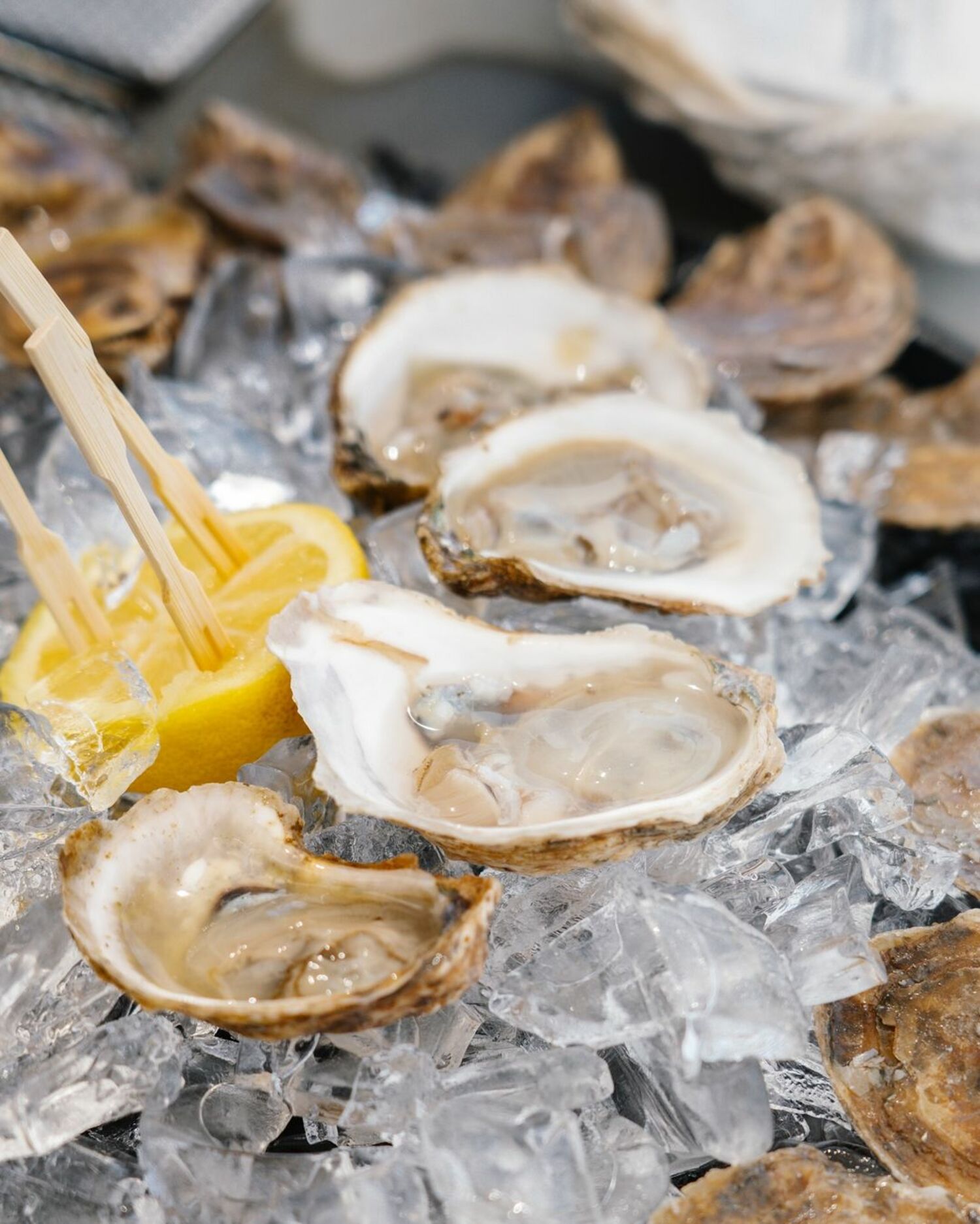 A selection of oysters from Founders Bay Oyster Farm. COURTESY LONG ISLAND OYSTER GROWERS ASSOCIATION