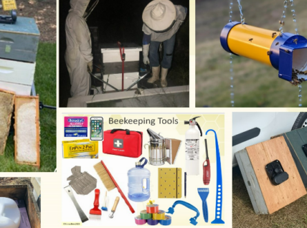 Beekeeping Tools and Tips