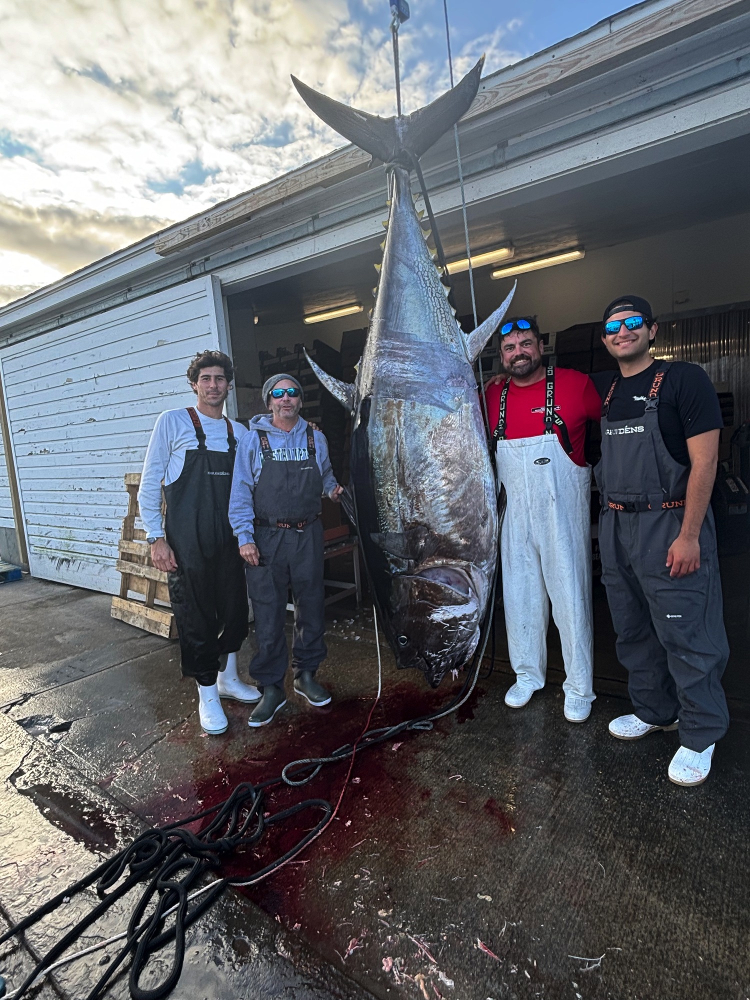 Matt Tobin, Capt. David Kravitz, Sean Gallagher, Harry Divaris, and Diana Aguilera (not pictured) landed this 920-pound bluefin tuna on the last day of the commercial tuna season while fishing out of Montauk last month.