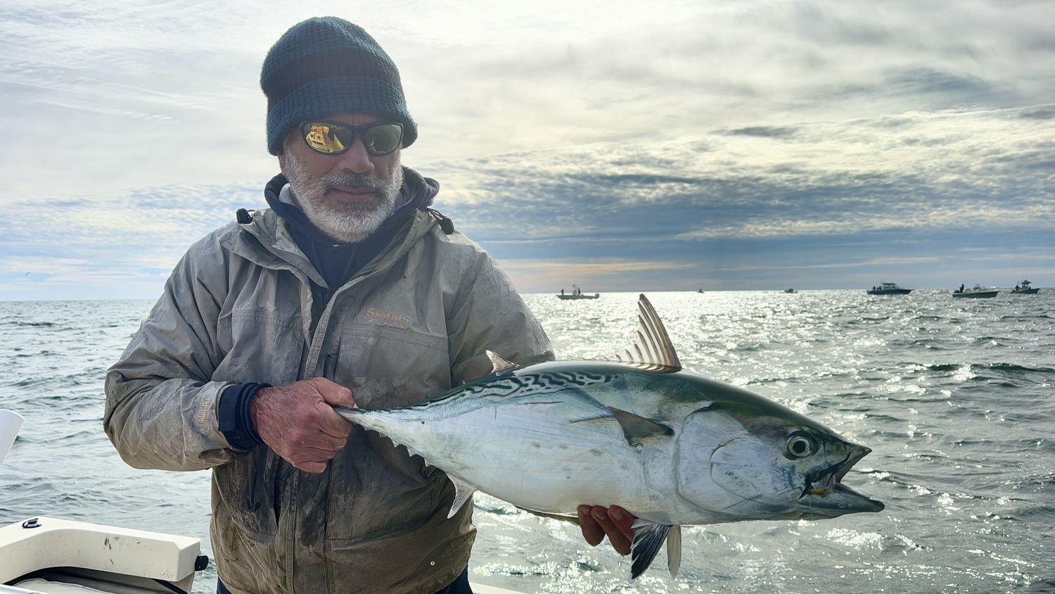 False albacore finally showed up in good numbers in East End waters this past week, more than 2 months late. They've been growing during that time, however.