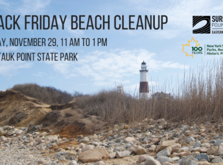 Montauk Lighthouse Beach Cleanup for Black Friday