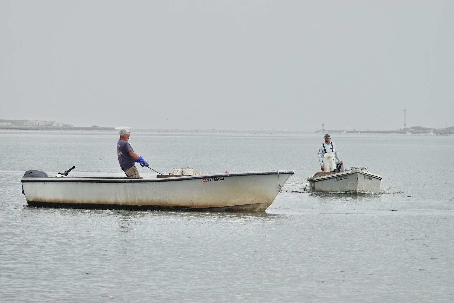 Bay scallops may be in serious decline but the population of hard clams in Shinnecock Bay is booming, and baymen are reaping the benefits. MICHAEL WRIGHT