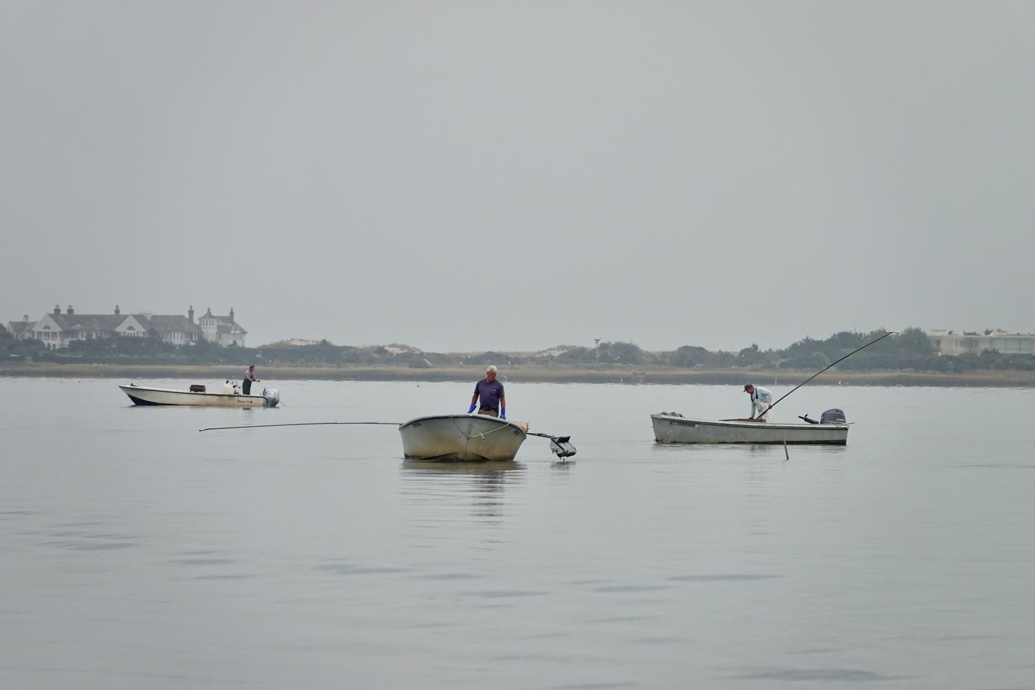 Bay scallops may be in serious decline but the population of hard clams in Shinnecock Bay is booming, and baymen are reaping the benefits. MICHAEL WRIGHT