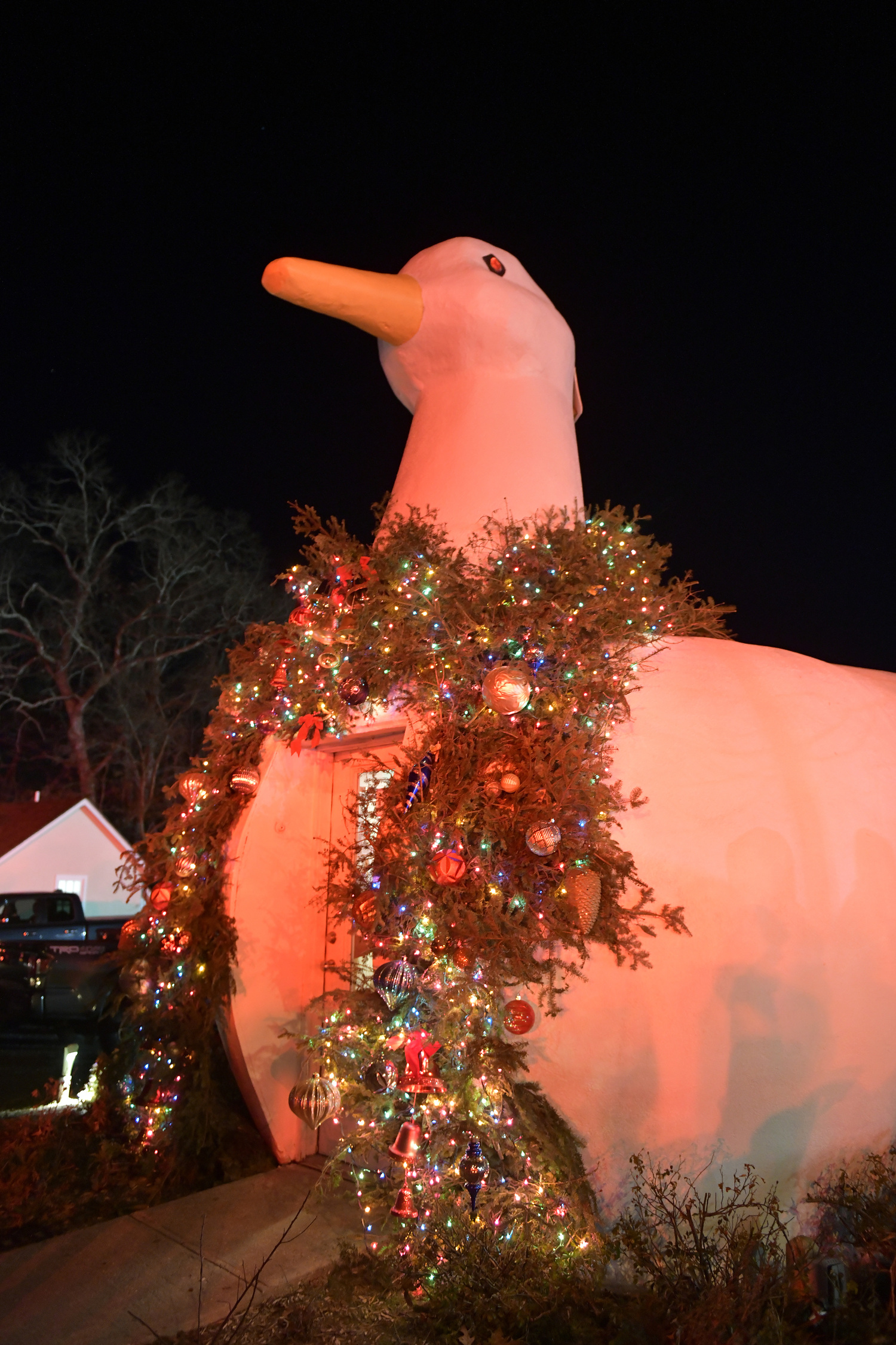 The Big Duck, at the lighting in 2022. Dana Shaw photo