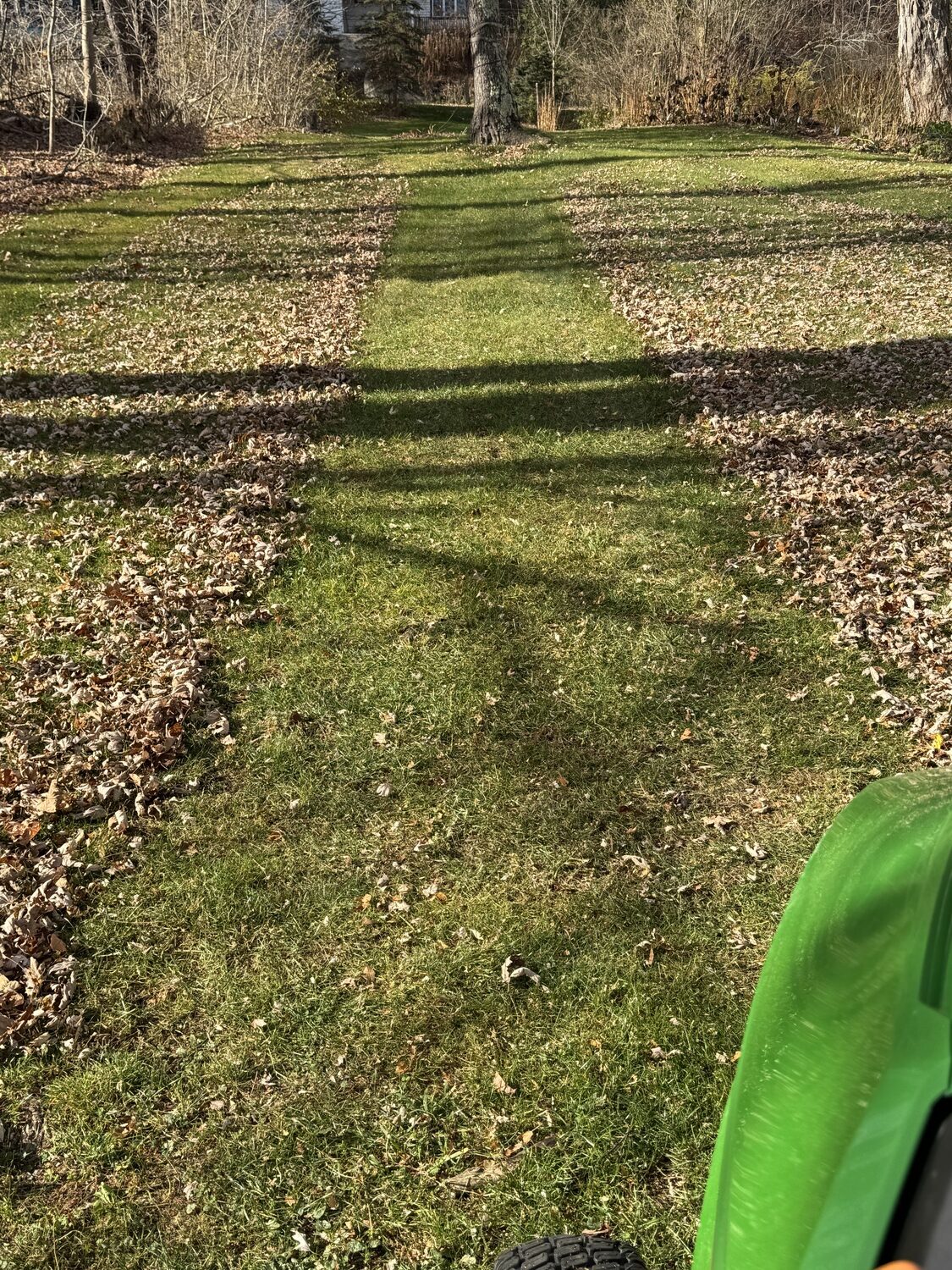 The same leaf-covered area of lawn but this time showing the result of one pass of a mower with Gator-type mulching blades and a mulching kit. ANDREW MESSINGER