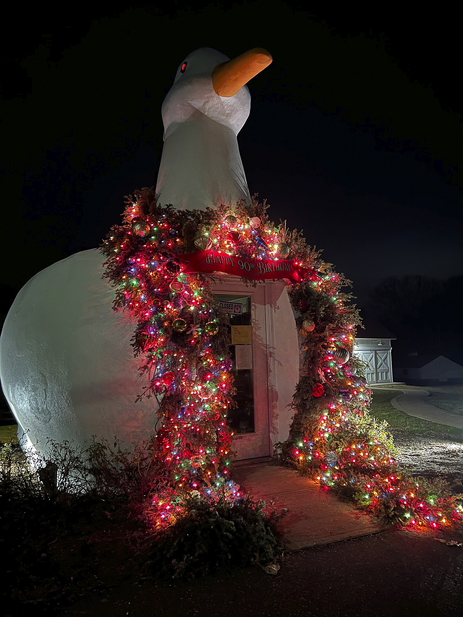 Big Duck Lighting Is a Classic Holiday Tradition