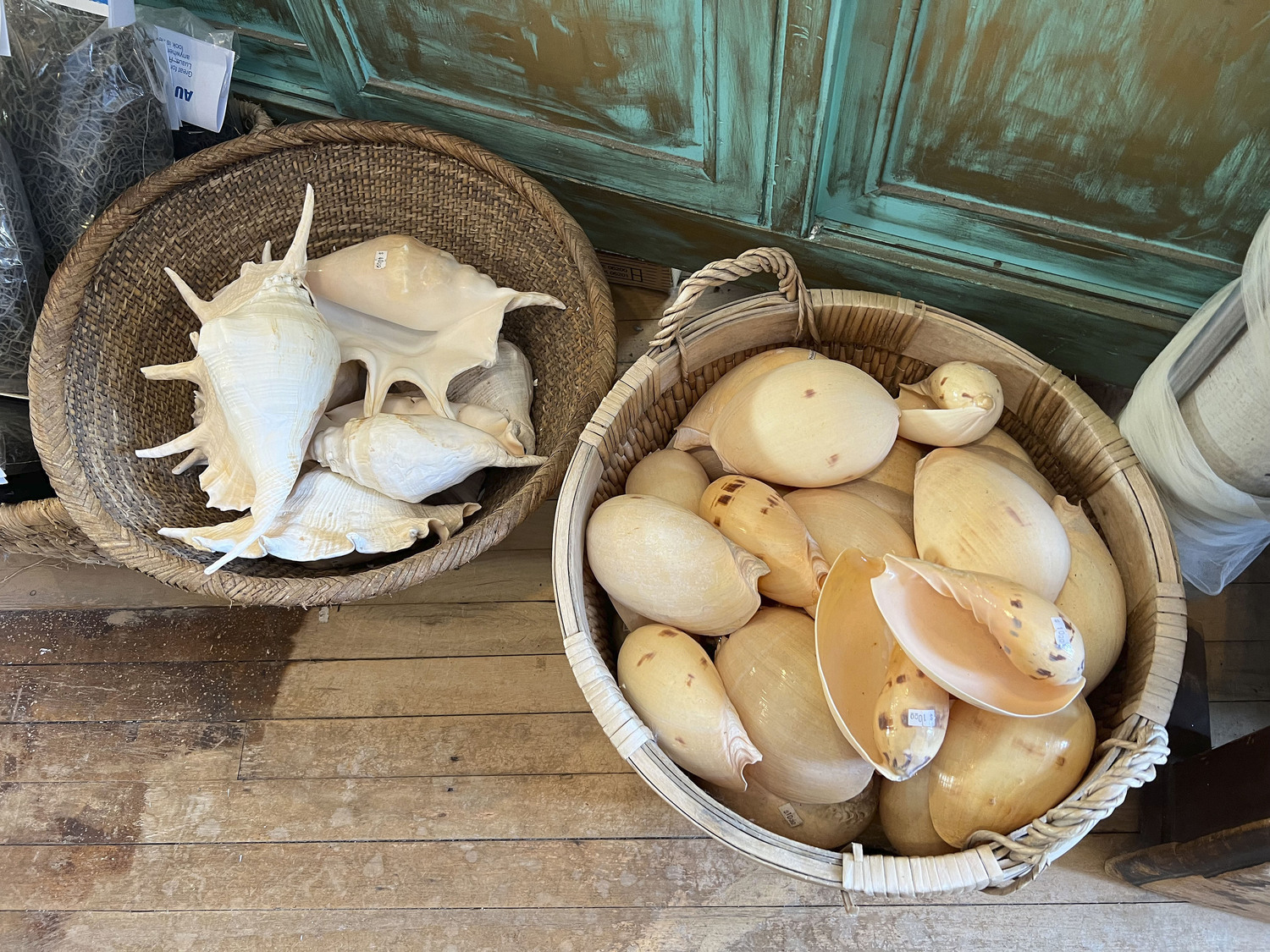 Blooming Shells in Sag Harbor Will be closing its doors after 45 years in business.  DANA SHAW